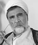 امام خمینی و اصالت رای جمهور- محمدتقی فاضل میبدی